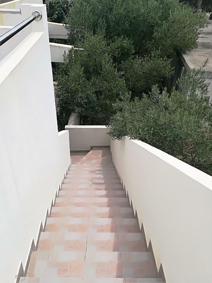 Apartman Rosanda Premuda Exterior photo